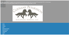 Desktop Screenshot of gudmarpetursson.com